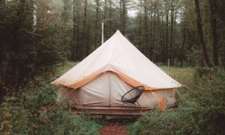 Camping Suggestions So You Can Have Fun