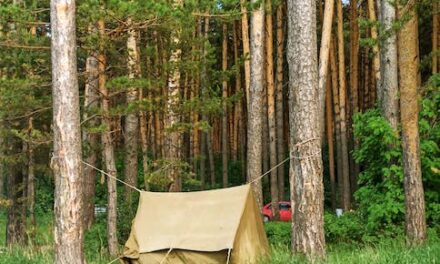 What You Need To Know Whenever You Go Camping