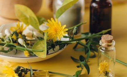 Obtaining Homeopathy In the near future? What You Should Know